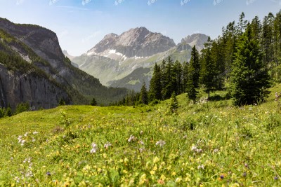 Landschaft mit Wiesen und Bergen